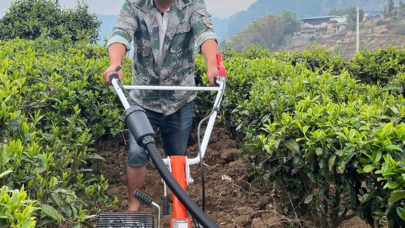 农机配件批发价格表背后藏着哪些门道