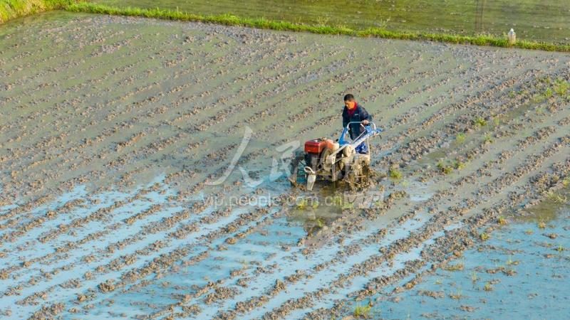 家禽饲料颗粒机：剖析其优缺点，助您明智选择**